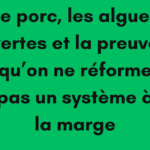 algues vertes