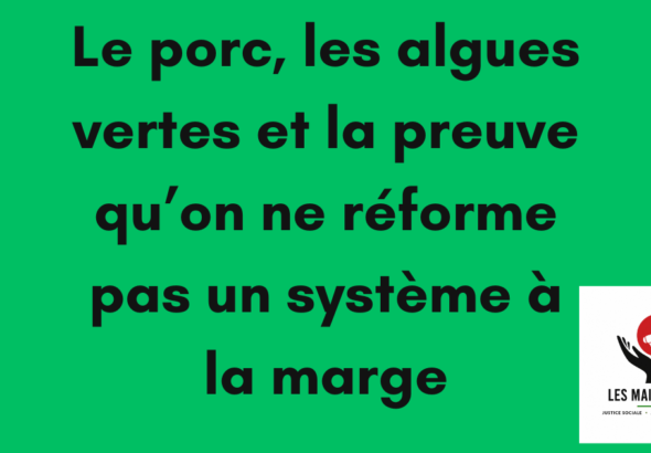 algues vertes