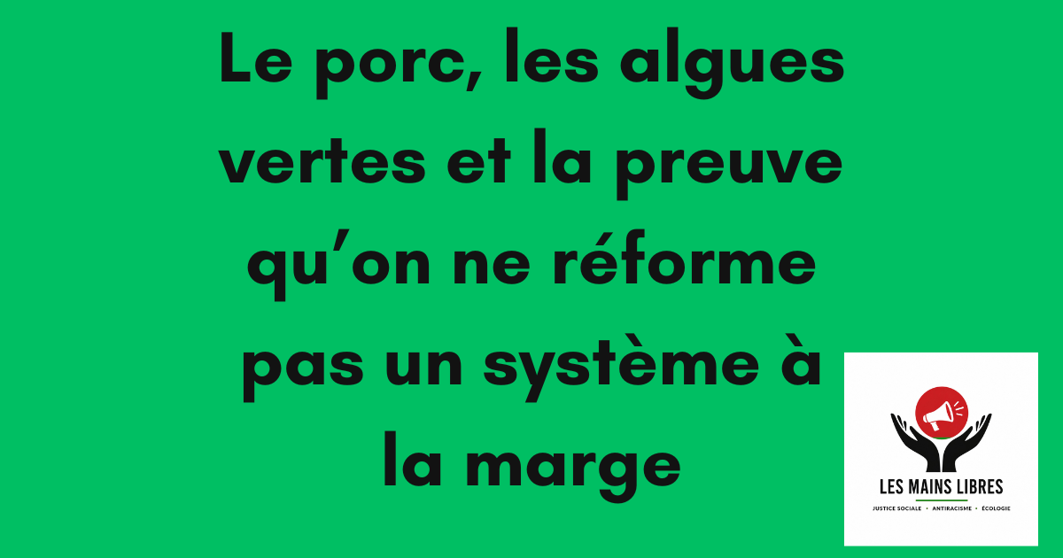 algues vertes