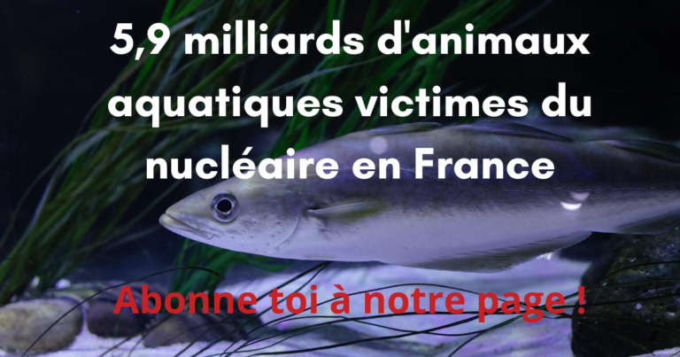 pétiion sortir du nucléaire poissons eau