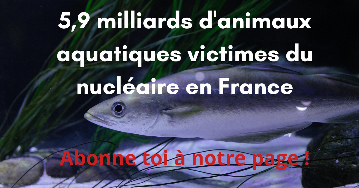 pétiion sortir du nucléaire poissons eau