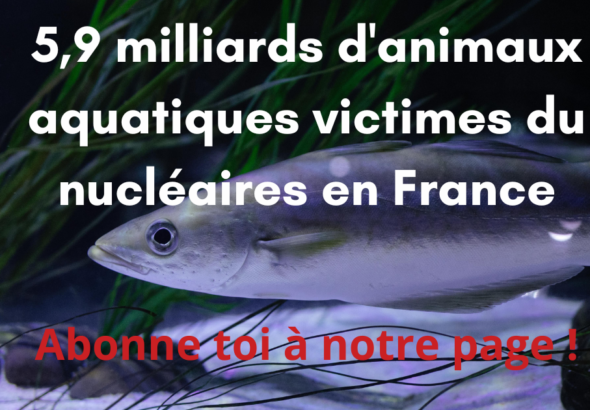 pétition sortir du nucléaire poissons