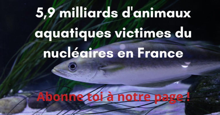 pétition sortir du nucléaire poissons